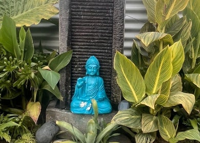 Peaceful Buddha garden at Koru Body Soul Māori Healers in Te Awamutu, Waikato, NZ.