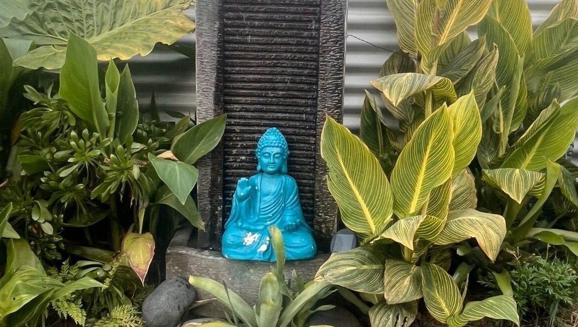 A tranquil Buddha statue amidst lush greenery at Koru Body Soul Māori Healers, Te Awamutu, Waikato, NZ.