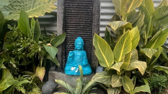 Koru Body Soul Māori Healers