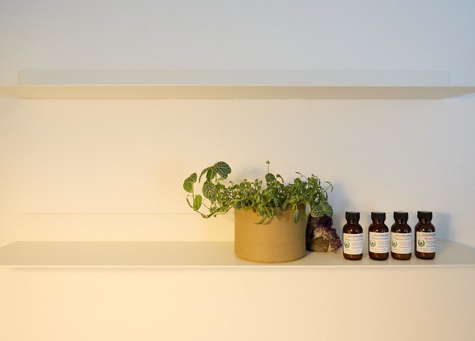Minimalist shelf with plants and essential oils at The Deep Unwind, Woollahra, New South Wales, AU.