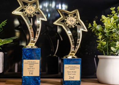 Trophies displayed at S Parlor Hair, Melbourne, Victoria, AU showcasing award-winning excellence.