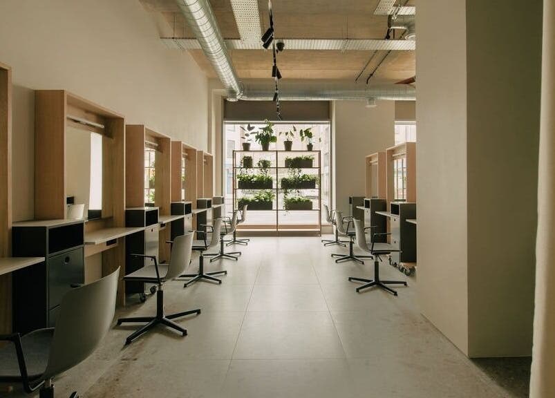 Modern interior of Glasshouse Salon in London, England, GB with stylish chairs and greenery.