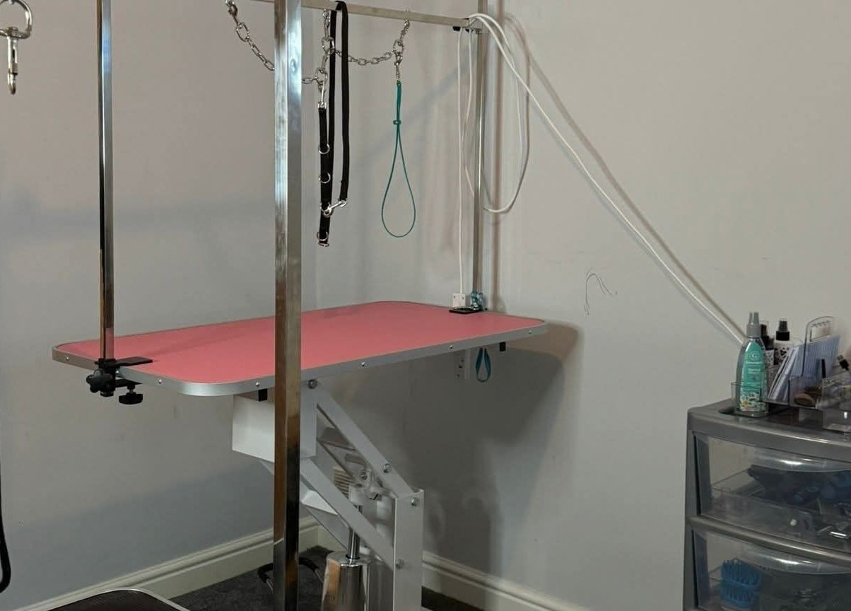 Grooming table and supplies at Pawlished and Primped Parlour, Wrington, England, GB.