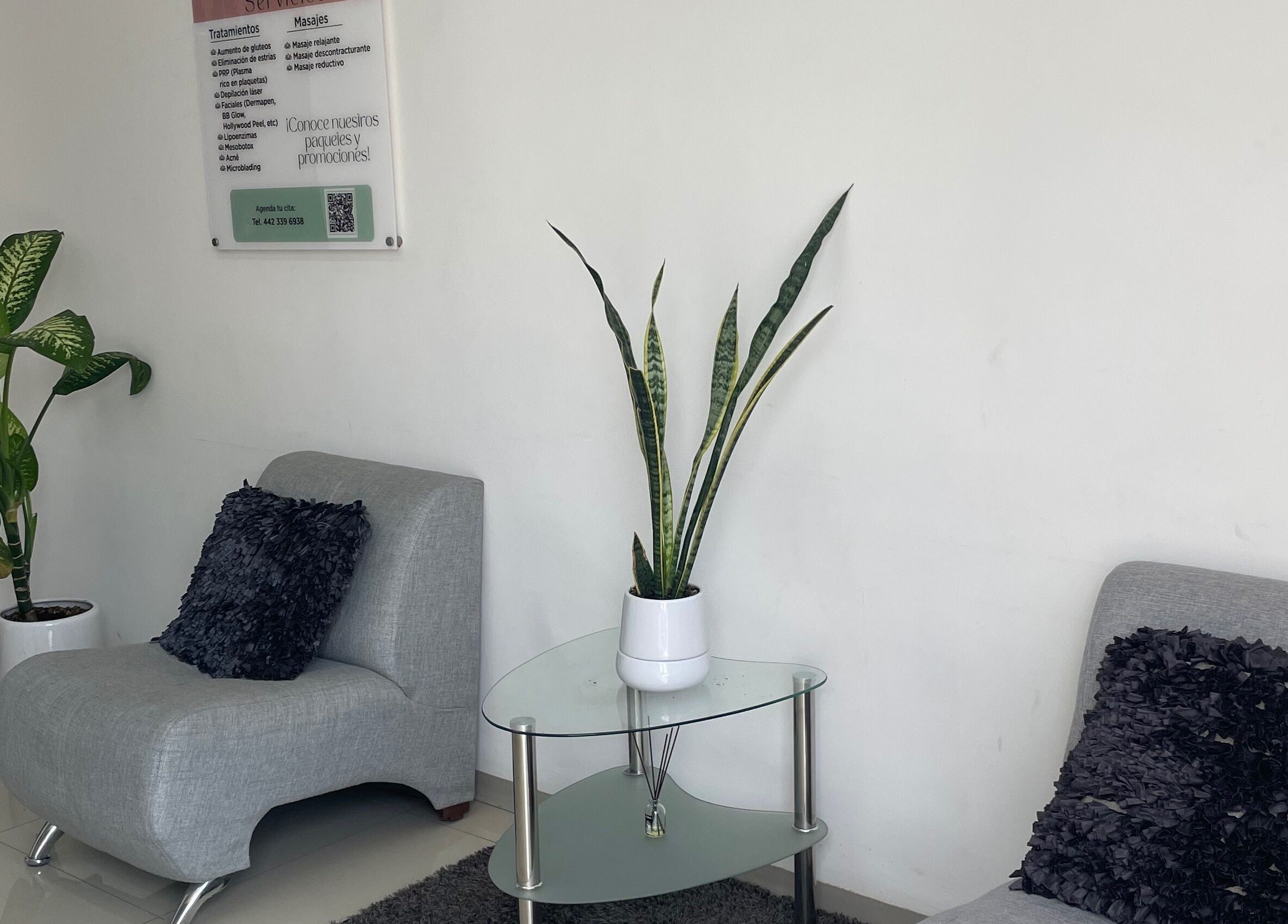 Sala de espera elegante en SHENLASH, Santiago De Querétaro, Querétaro, MX con sofás grises y plantas.