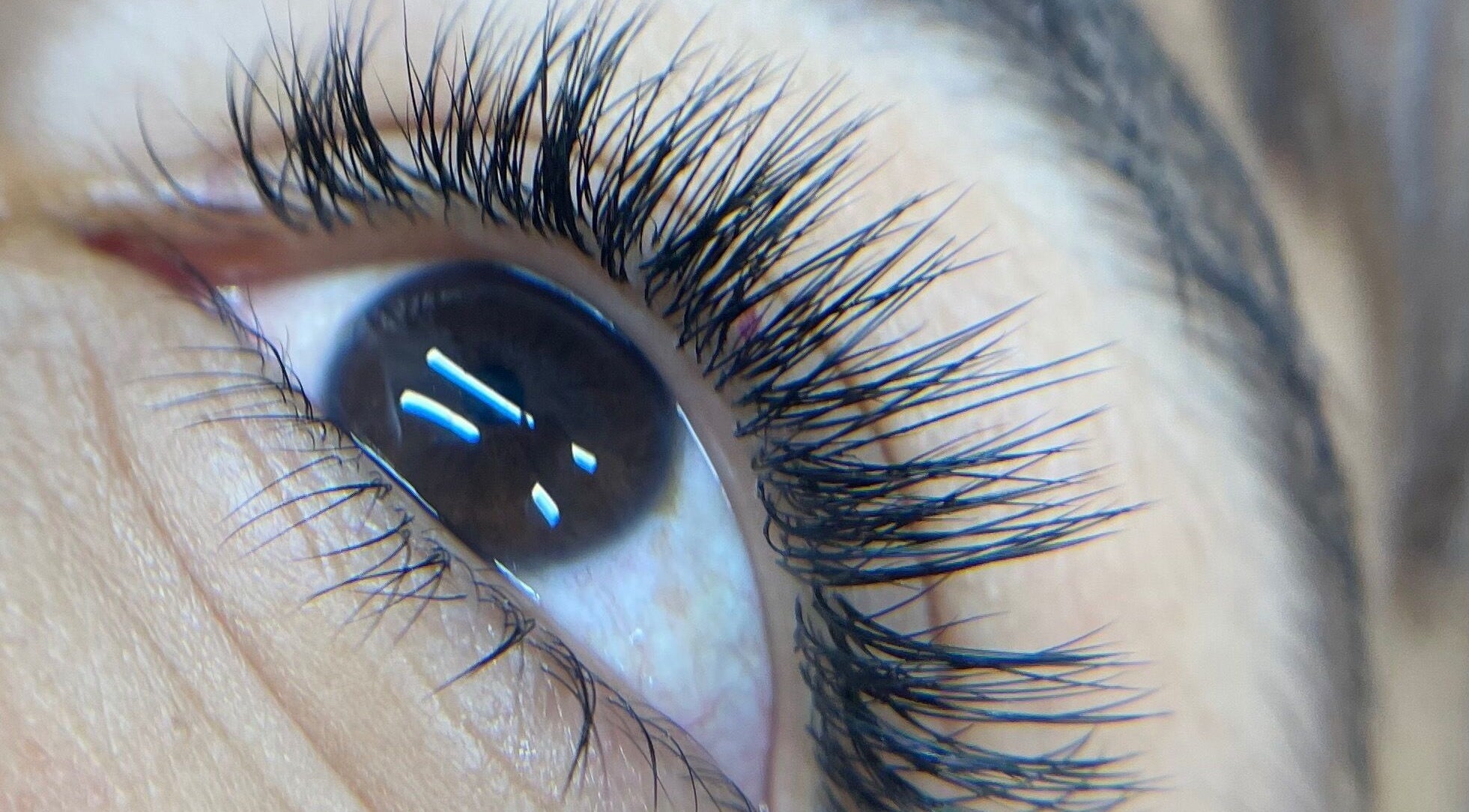 Primer plano de pestañas estilizadas en Shenlash, Santiago De Querétaro, Querétaro, MX.