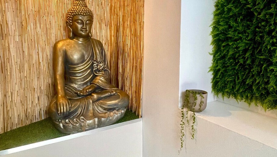 Viva Ayurveda Urban Spa image 1
