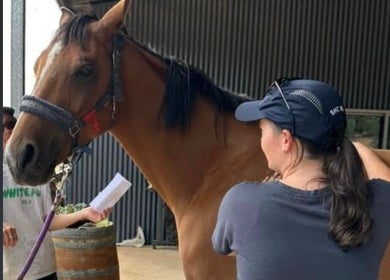 Visitor interacting with a horse at Two as One, Darling Downs, Western Australia, AU.