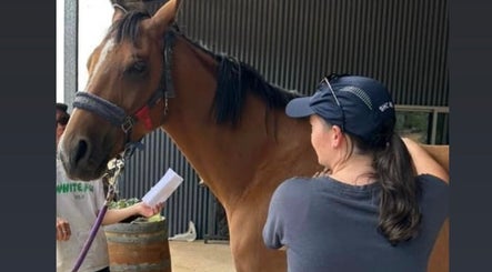 Visitor interacting with a horse at Two as One, Darling Downs, Western Australia, AU.