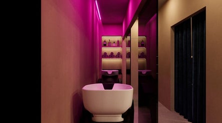 BotanyChic image 2