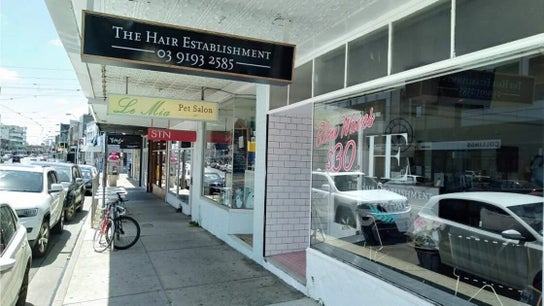 The Hair Establishment