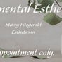 Elemental Esthetics