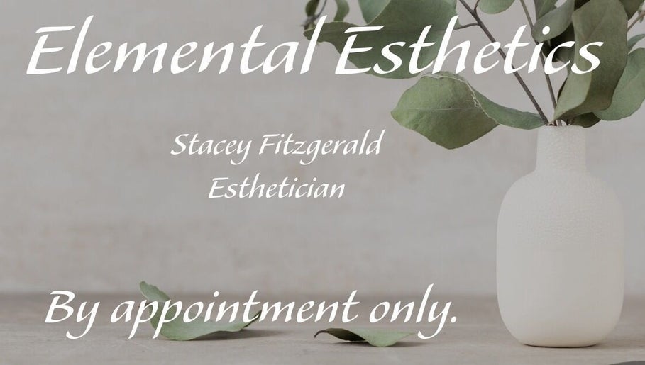 Elemental Esthetics afbeelding 1