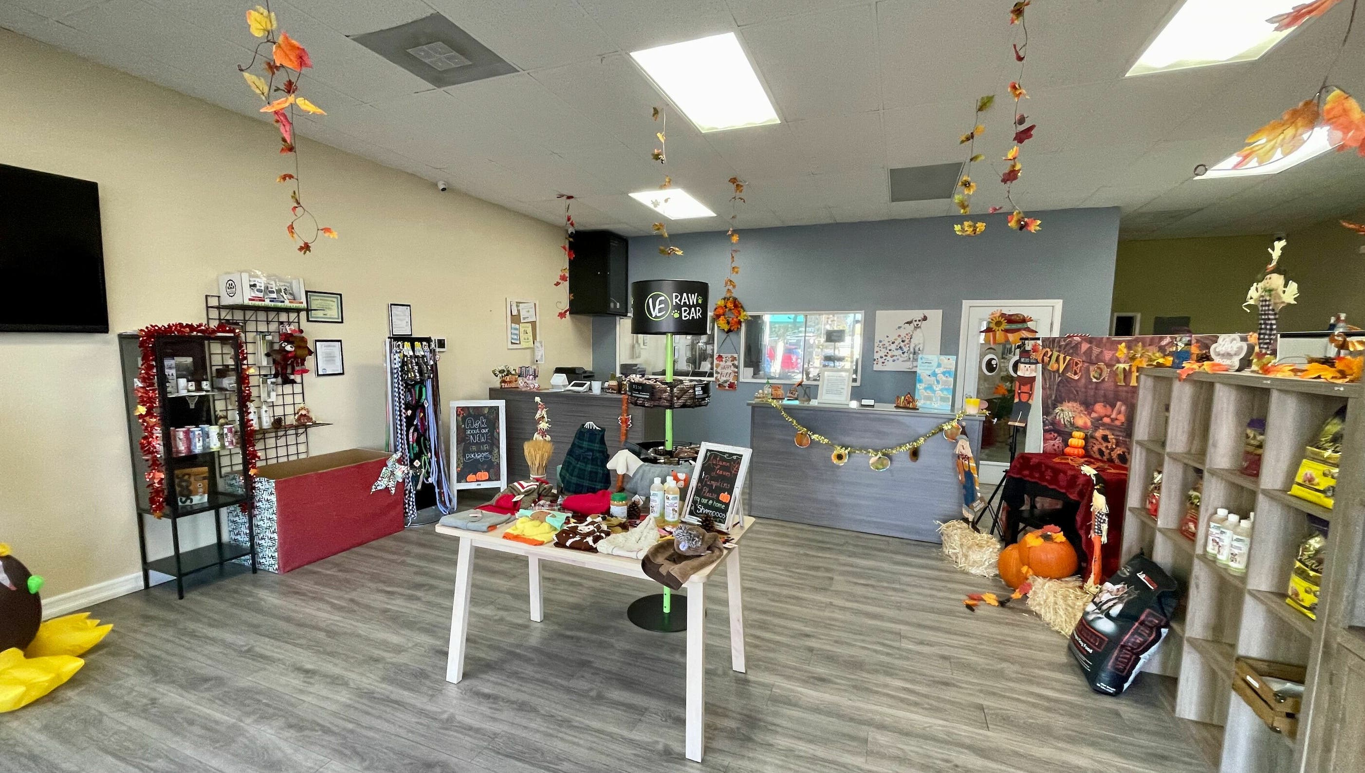 Modern Pooch interior with fall decorations in South El Monte, California, US, showcasing pet products.