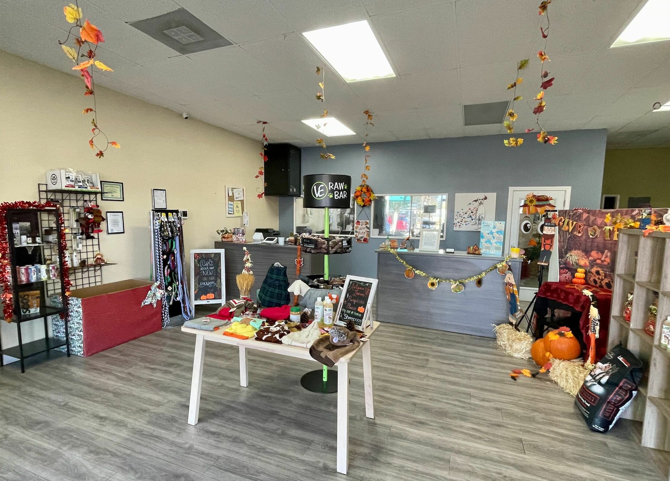 Modern Pooch interior with fall decorations in South El Monte, California, US, showcasing pet products.
