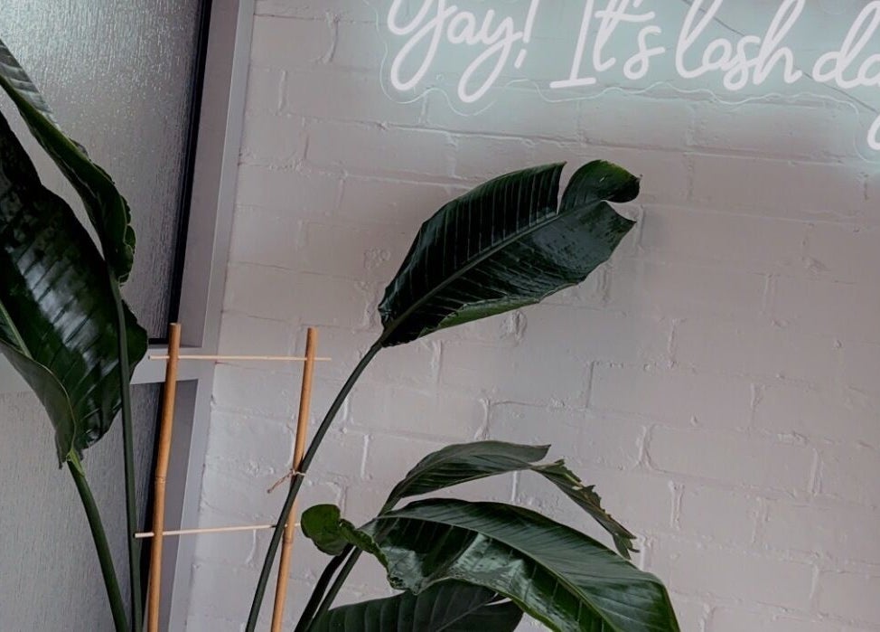 Stylish corner with lush plant and neon sign at The Lash Co., Windsor, Ontario, CA.
