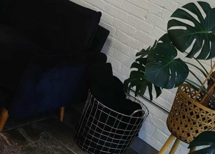 Stylish plant decor beside a cozy couch at The Lash Co., Windsor, Ontario, CA, creating a serene ambiance.