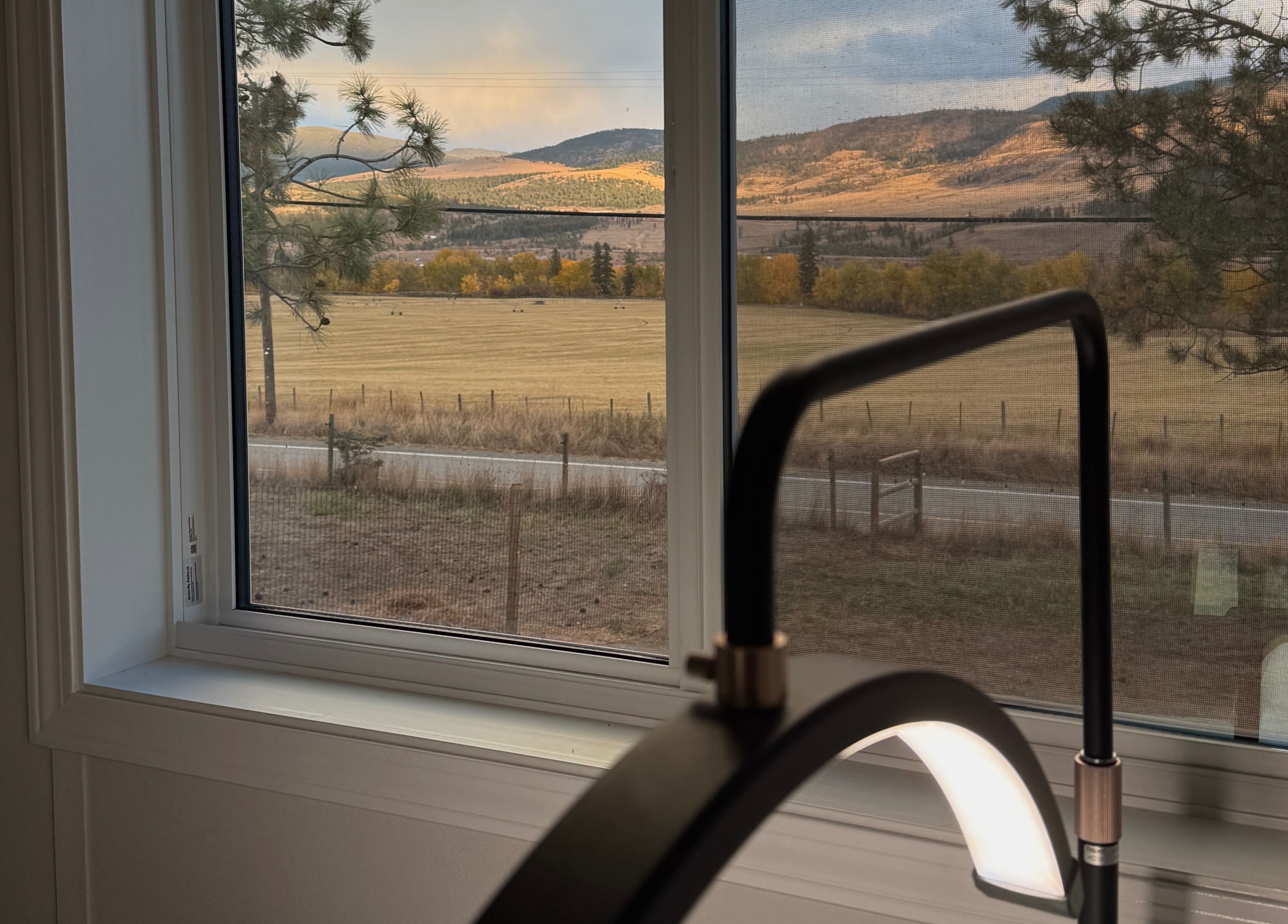 View from Lashes by Alicia in Kamloops, BC, CA, featuring serene landscapes and soft lighting.