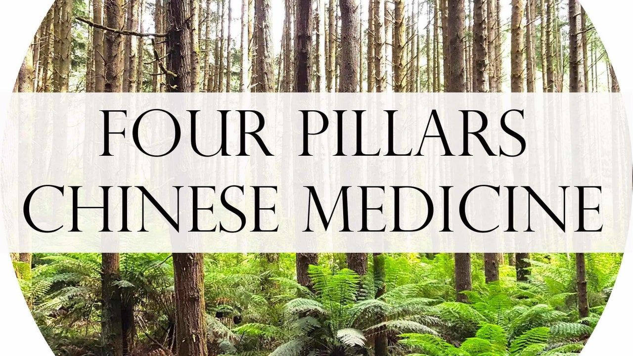 what are the 4 pillars of chinese medicine