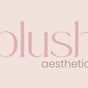 Blush Aesthetics