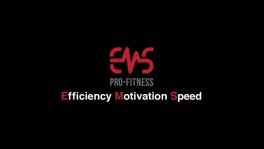 EMS Pro-Fitness imagem 1