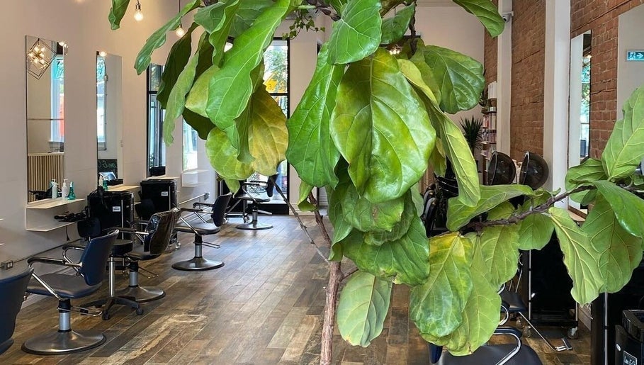 Chic interior of Studio B with mirrors and vibrant greenery, Toronto, Ontario, CA.