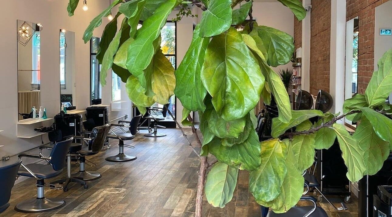 Chic interior of Studio B with mirrors and vibrant greenery, Toronto, Ontario, CA.