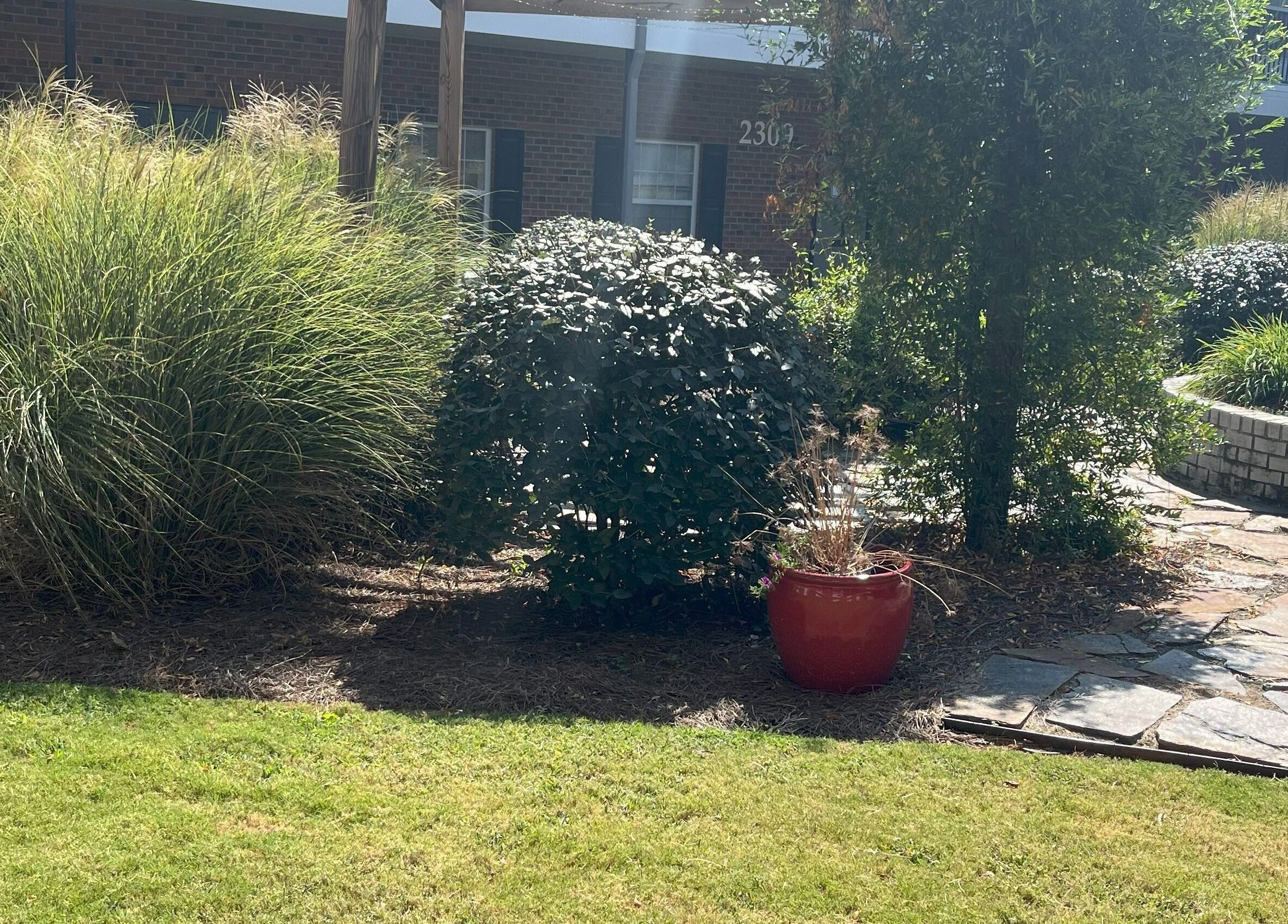 Lush garden at Healing Hands Studio NC in Greensboro, North Carolina, US, showcasing tranquility and natural beauty.