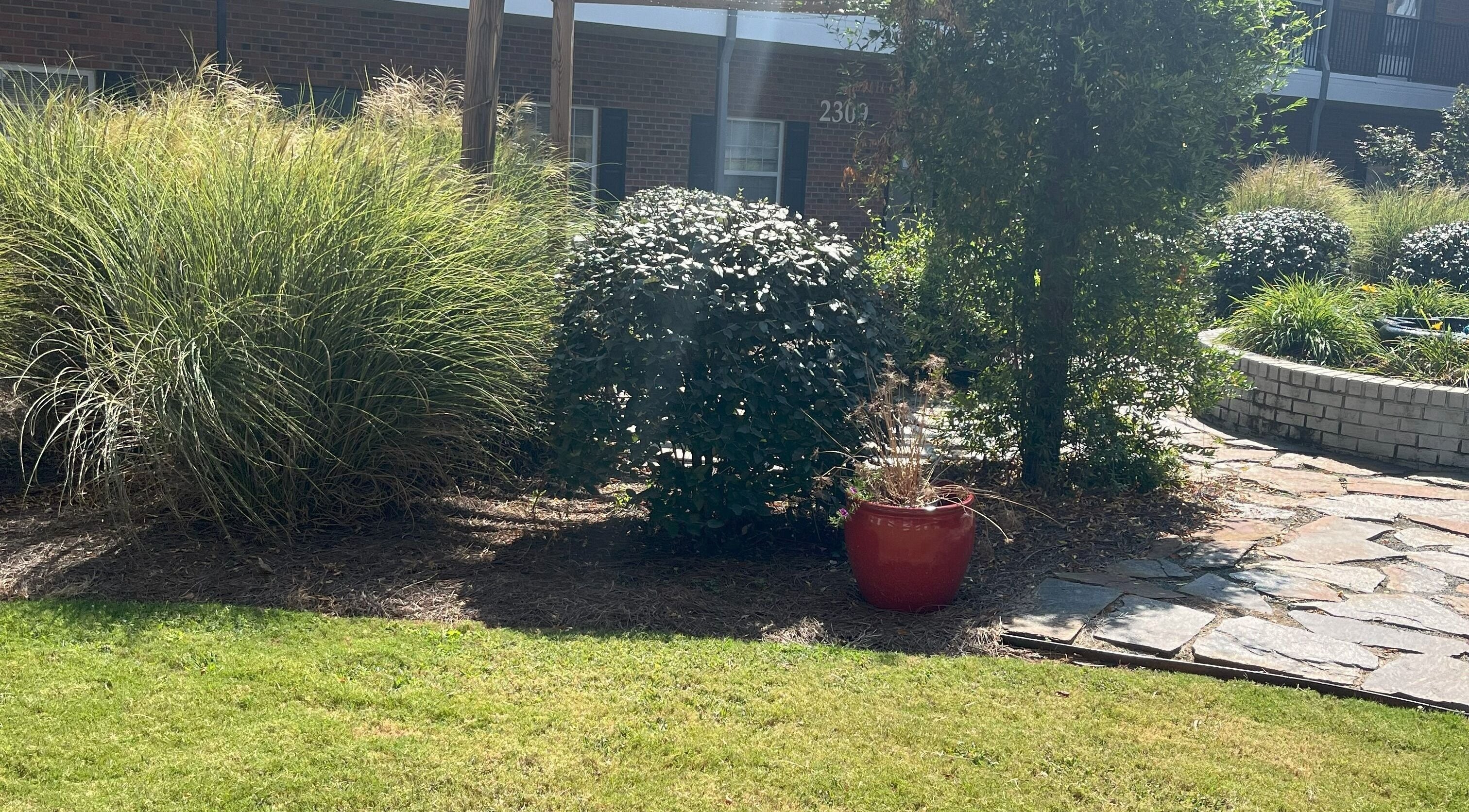 Lush garden at Healing Hands Studio NC in Greensboro, North Carolina, US, showcasing tranquility and natural beauty.