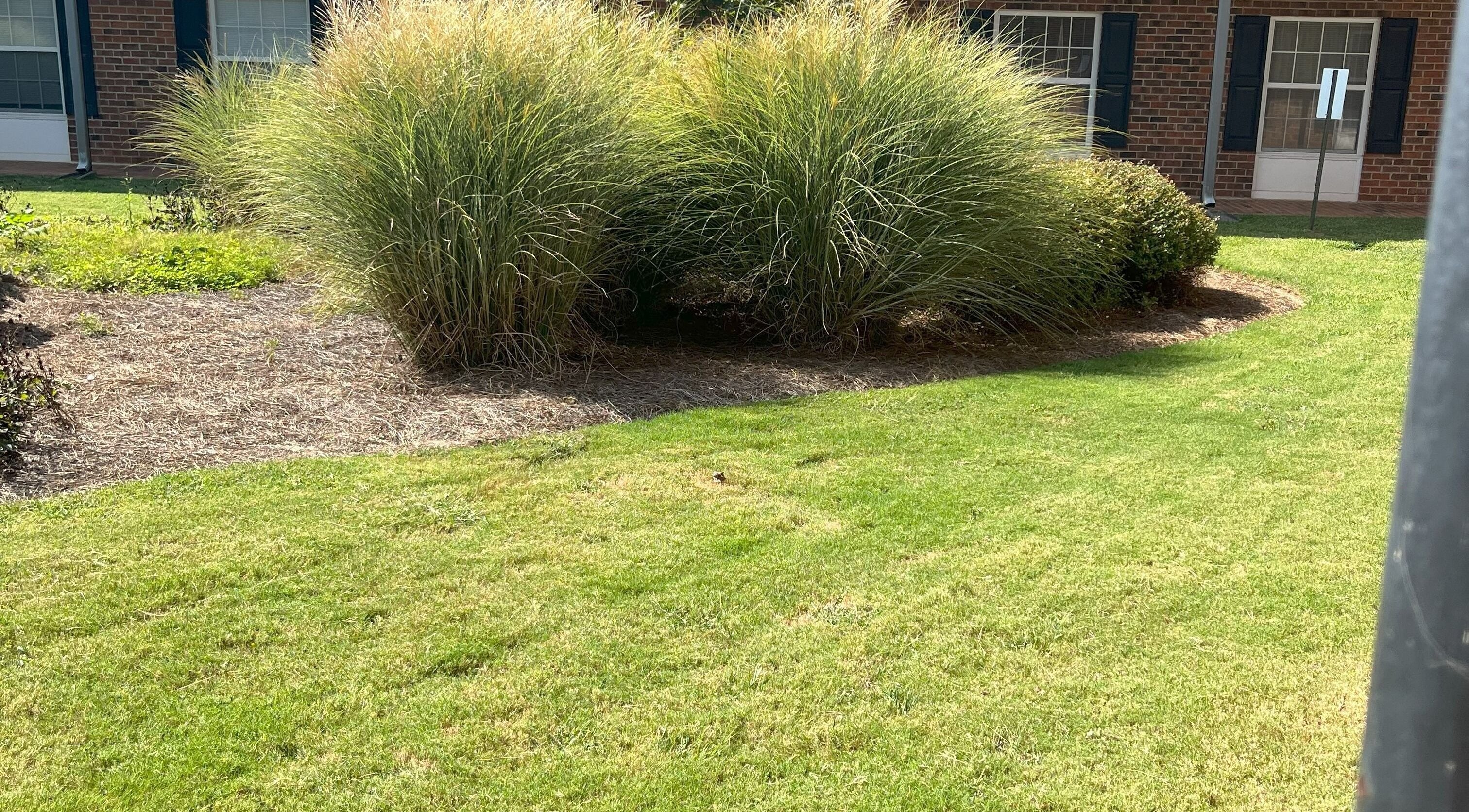 Lush greenery outside Healing Hands Studio NC, Greensboro, North Carolina, US, offering a tranquil ambiance.