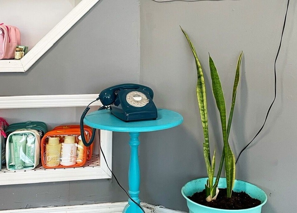 Retro phone and plant on display at Hair Tracks, Oshawa, Ontario, CA, showcasing unique salon decor elements.