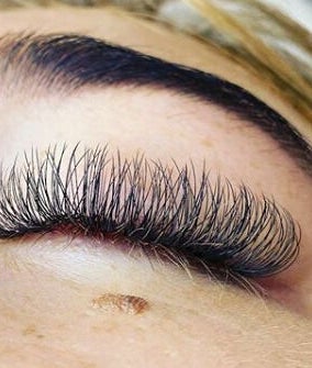 Lashed Empire  image 2