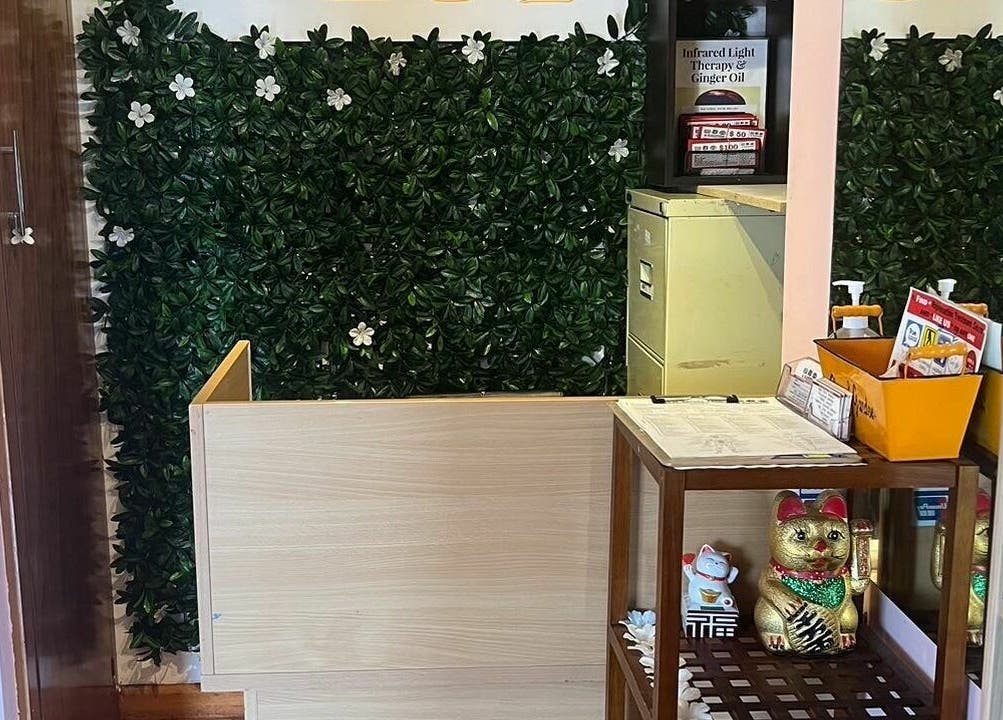 Reception area with lush greenery at RTC Golden Point, Golden Point, Victoria, AU, showcasing a warm ambiance.