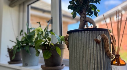 Lush potted plants at Gemma B Holistic Hairdressing, Dunstable, England, GB, enhancing wellness ambiance.
