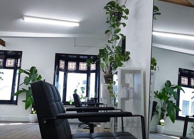 Bright, airy salon interior with plants at The Watt, Downham Market, England, GB.