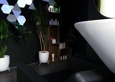 Modern salon interior with plants and shelves at The Watt, Downham Market, England, GB.