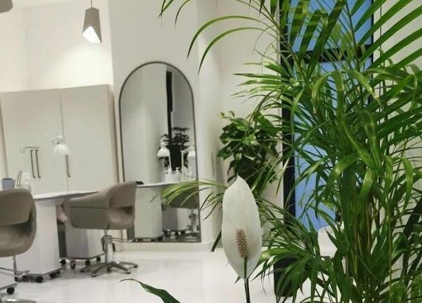 Peaceful salon space at Phenomenal Ladies Salon in Abu Dhabi, AE featuring lush greenery and elegant decor.