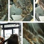 Hair trend su Fresha - Via Benedetto Torti 3, Roma, Lazio