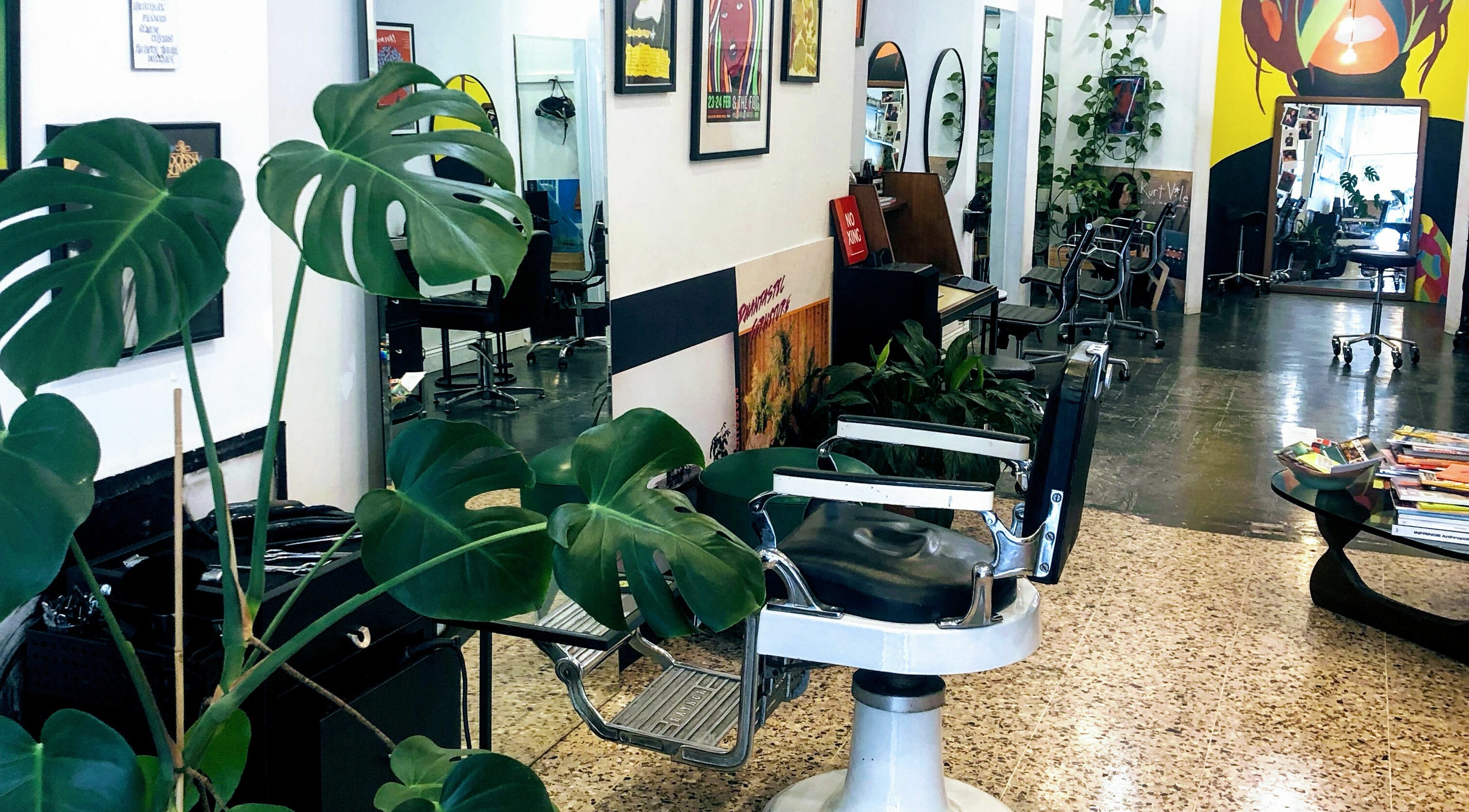 Stylish interior of Paradise Cutters, Melbourne, Victoria, AU, featuring modern chairs and lush plants.
