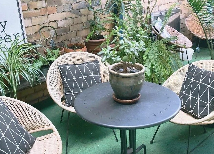 Serene seating area at Paradise Cutters, Melbourne, Victoria, AU with lush plants and cozy chairs.