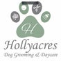 Hollyacres Dog Grooming & Daycare - 277 Midgeland Road, Blackpool, England