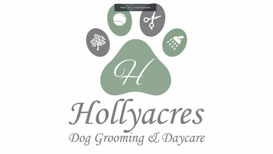 Hollyacres Dog Grooming & Daycare image 1
