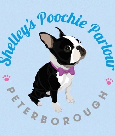 Shelley's Poochie Parlour - Peterborough Limited image 2