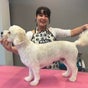 Absolute Dogs - 21 Oakleigh Drive, Orton Longueville, Peterborough, England