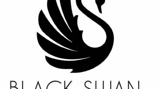 Black Swan Beauty - Pier 14