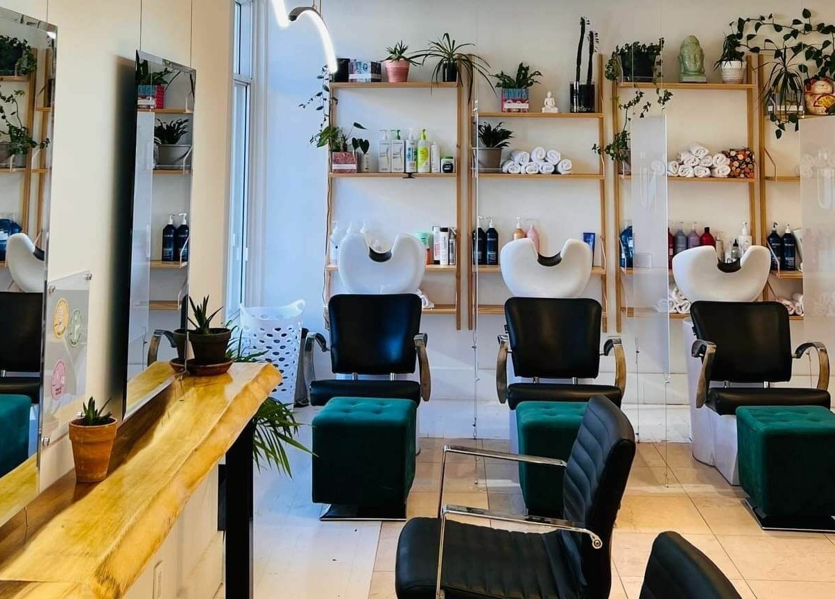 Contemporary salon interior at Nu Salon, Montréal, Québec, CA, featuring stylish chairs and plants.