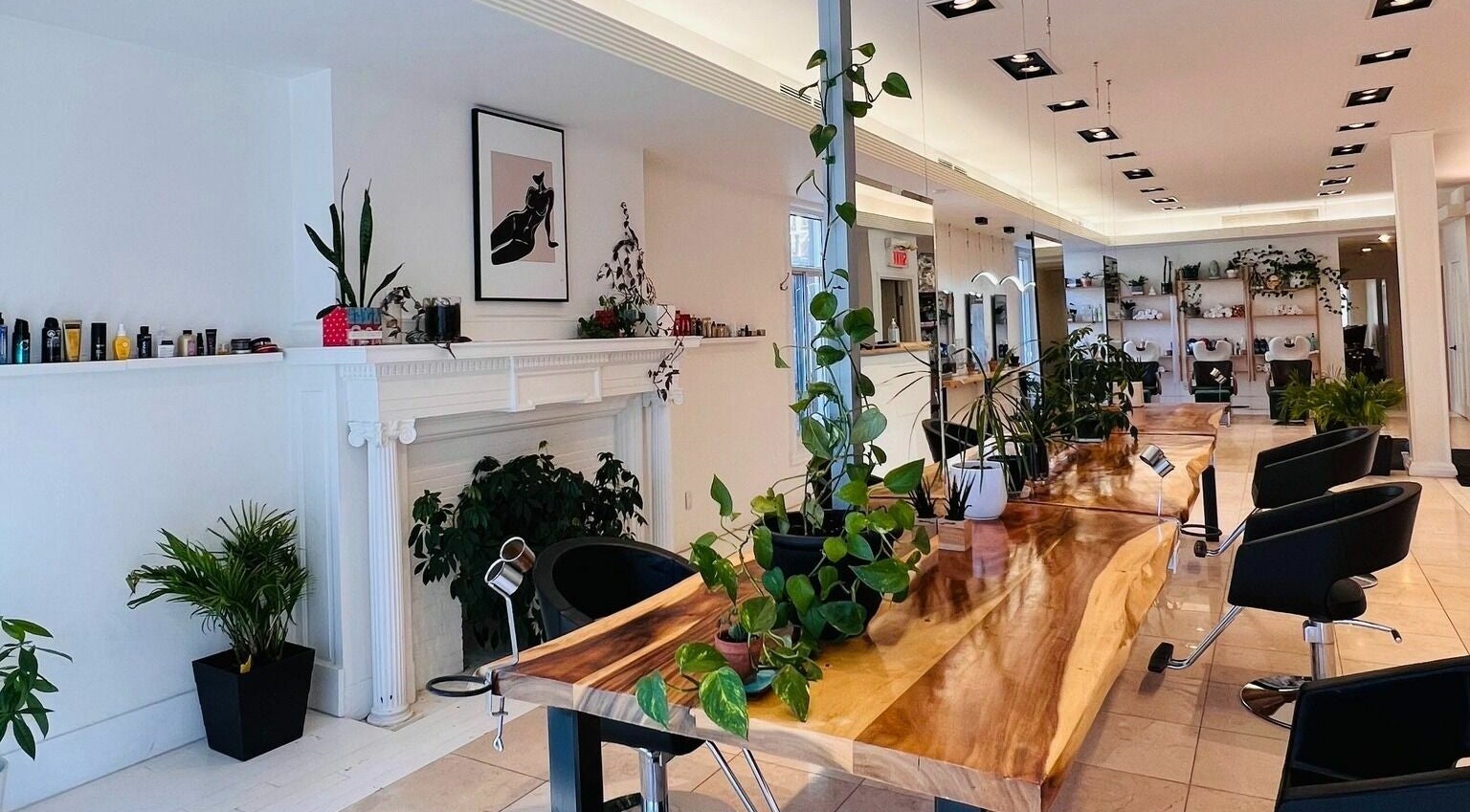 Stylish interior of Nu Salon in Montréal, Québec, CA with lush plants and chic decor.