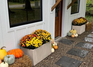 Charming autumn-themed entrance with flowers and pumpkins at Mood Beauty Co., Brant, Ontario, CA.