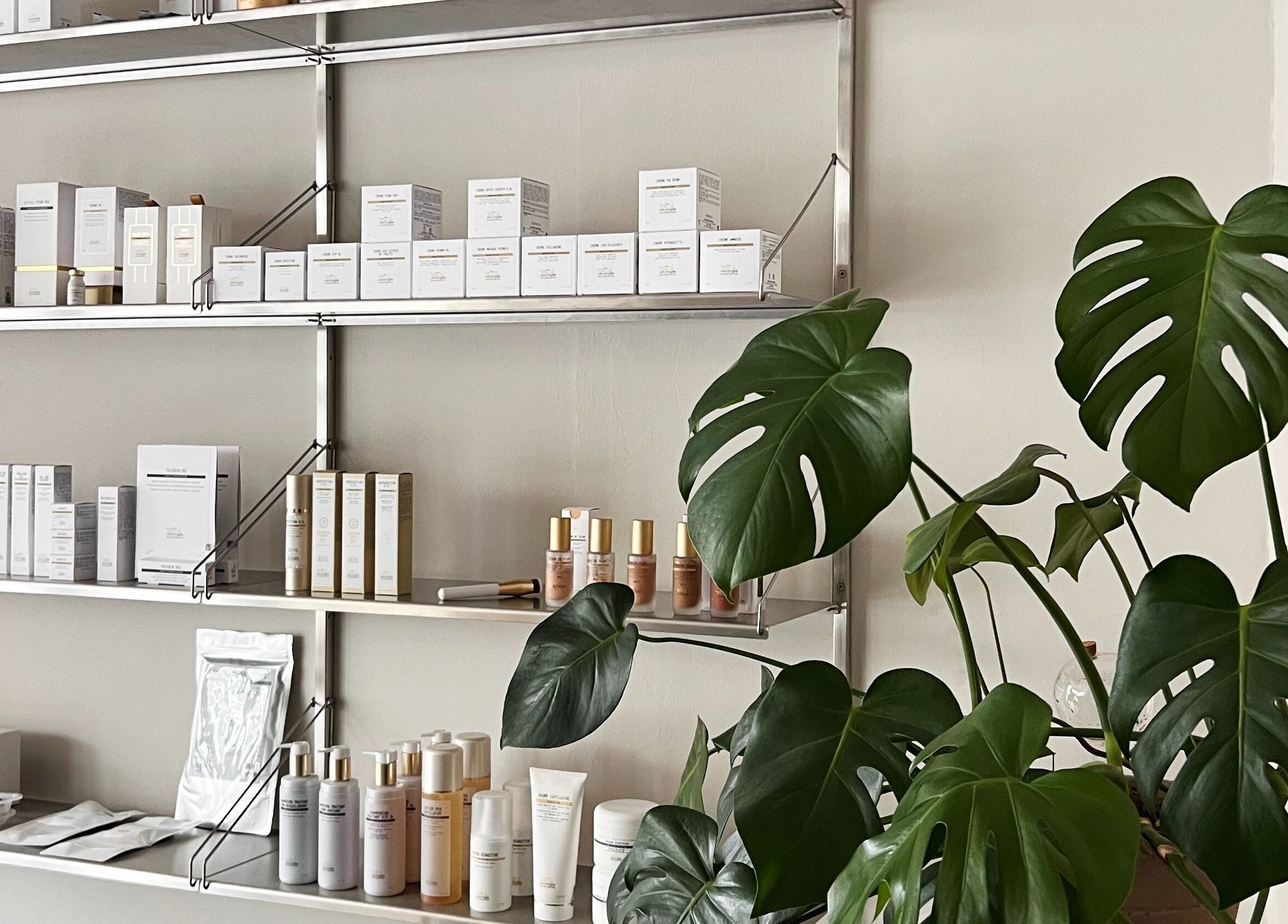 Hylder med produkter og en grøn plante hos Allure Copenhagen, Frederiksberg, DK