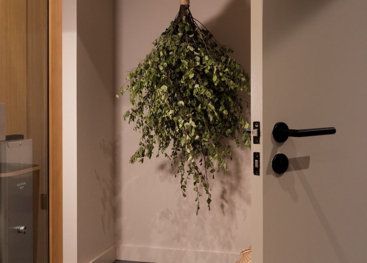 Still London sauna room entrance with hanging greenery in London, England, GB.