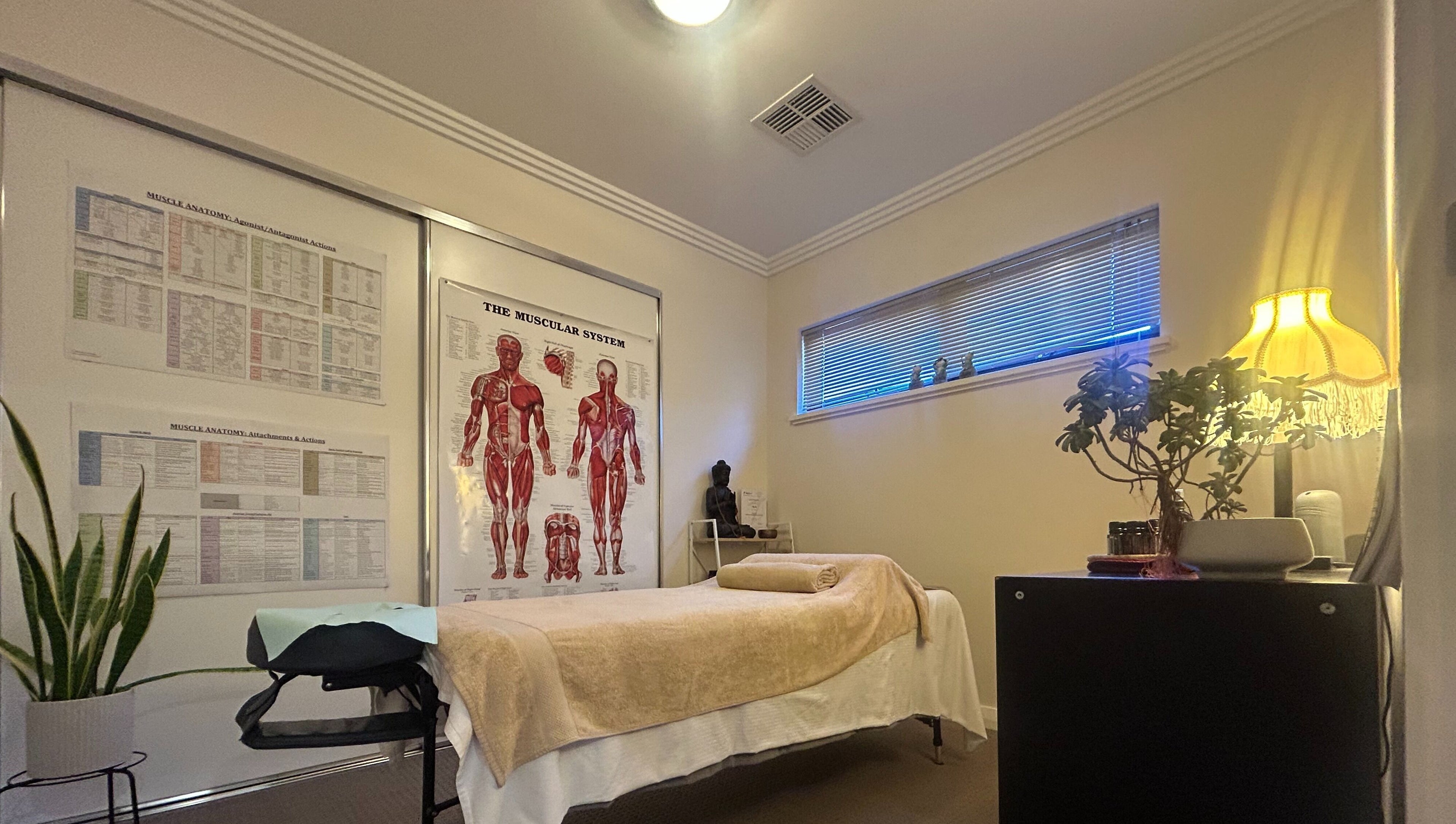 Tranquil therapy room at Move With Jase, Dianella, Western Australia, AU, featuring anatomy charts and soft lighting.